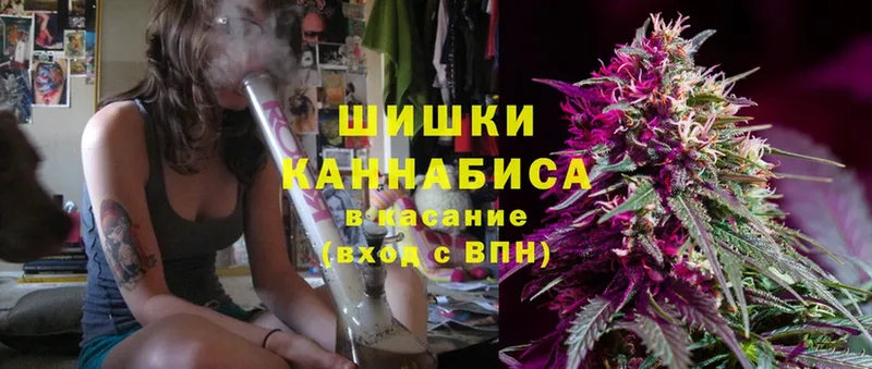 Конопля Ganja  Иннополис 